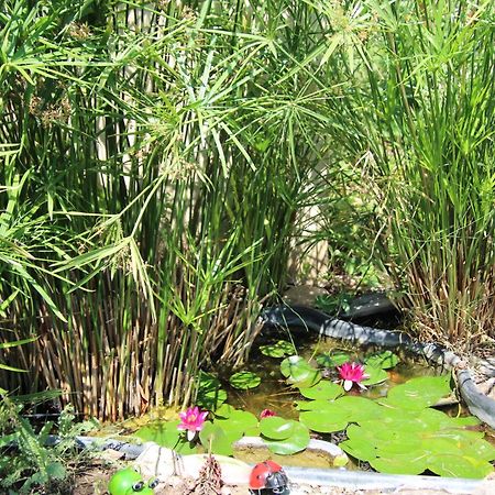 Le Mas Cothy En Provence Roquemaure  Dış mekan fotoğraf